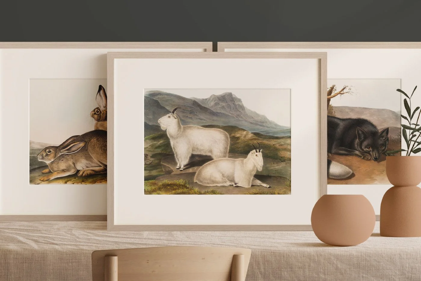 25 Vintage Mammal Prints — The Object Atlas